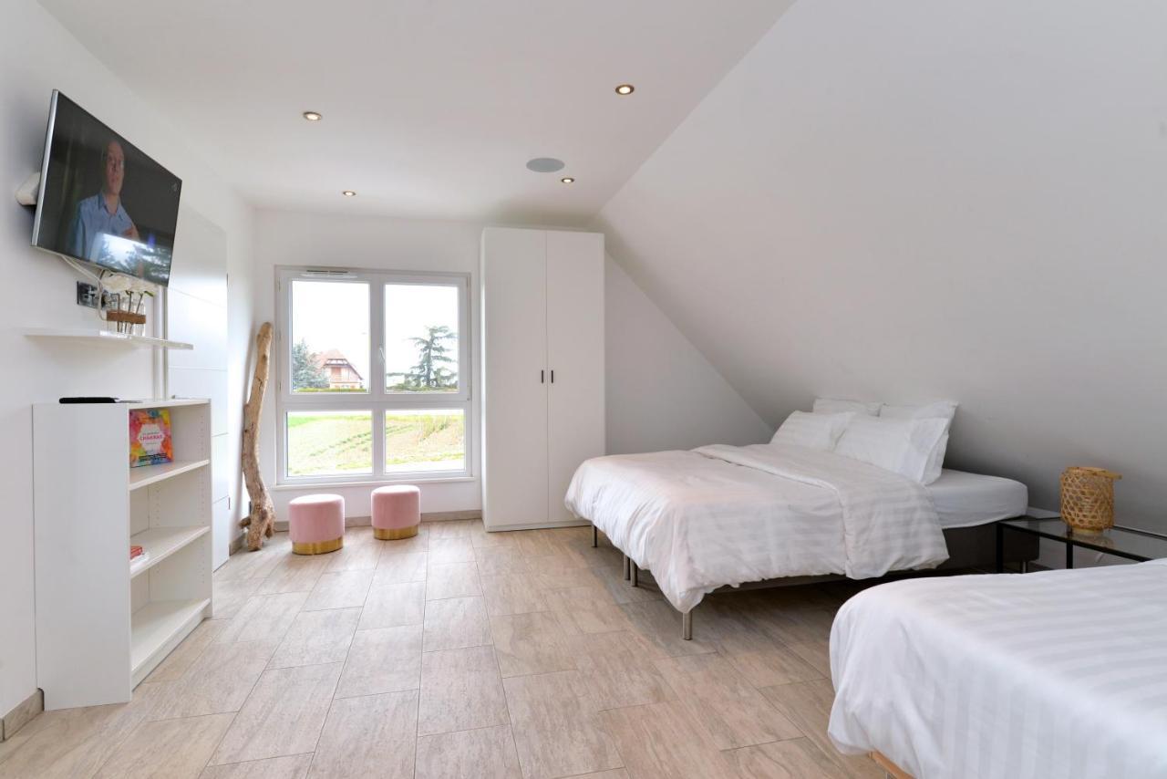 Villa Gite&spa Manta Strasbourg
